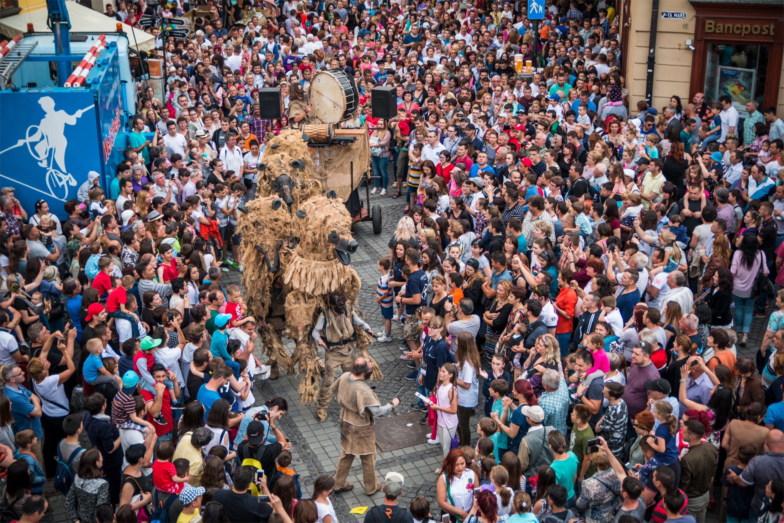 Óssos del Pirineu  | © Cia Tutatis