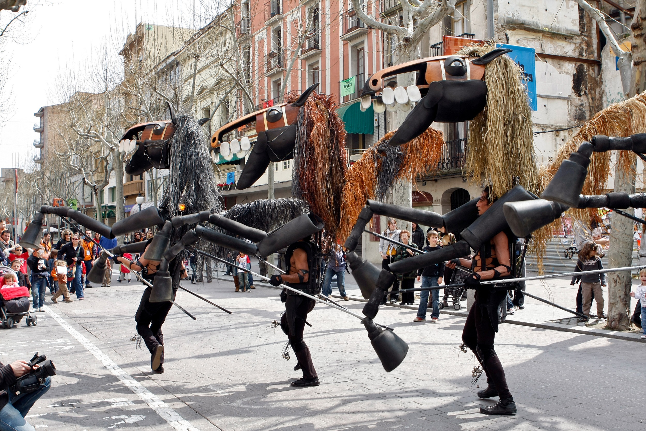 Cavalls de Menorca  | © Cia Tutatis