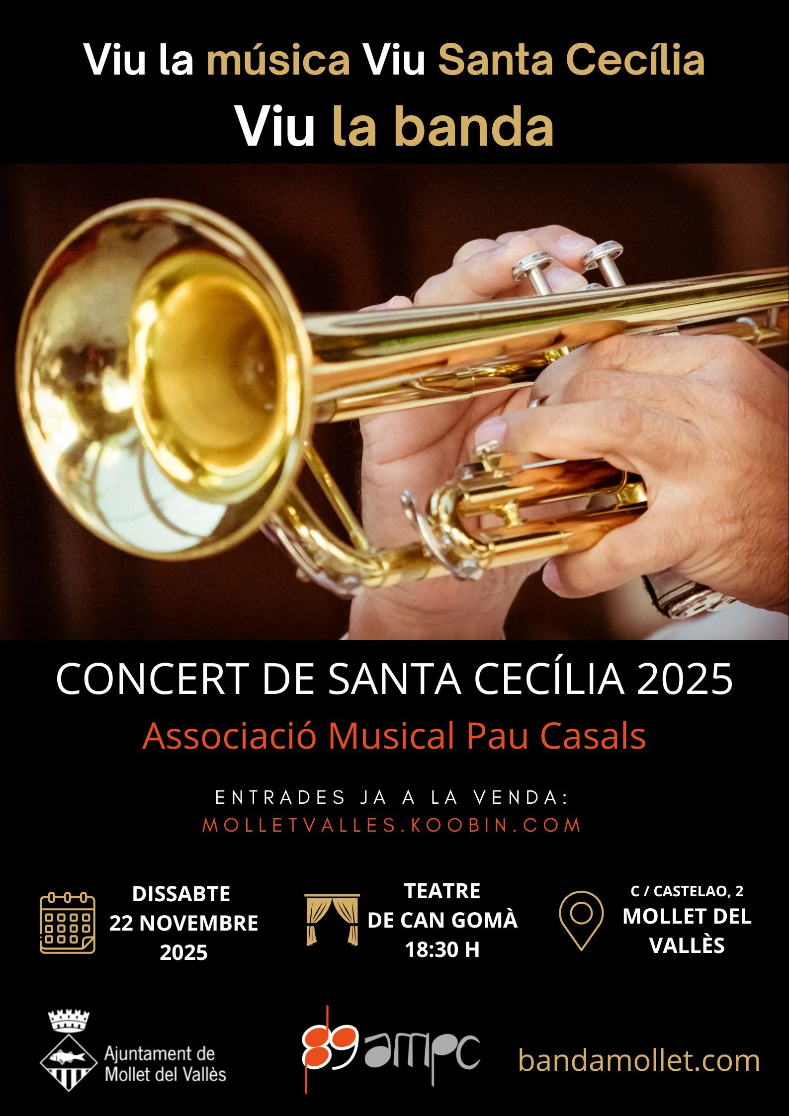 CONCERT DE SANTA CECILIA