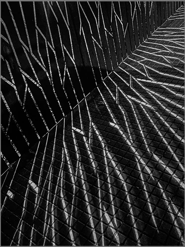 1r premi categoria Mollet 2025 | © Silvia Luengo Arcega